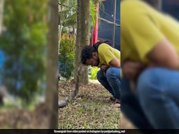 On Camera, Man Calmly Pets Giant Cobra, Leaves Viewers Shocked On Camera, Man Calmly Pets Giant Cobra, Leaves Viewers Shocked