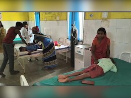 lizard In Meal: मध्यान्ह भोजन में मरी हुई छिपकली... खाना खाने के बाद 65 से ज्यादा बच्चे बीमार  lizard In Meal: मध्यान्ह भोजन में मरी हुई छिपकली... खाना खाने के बाद 65 से ज्यादा बच्चे बीमार