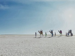 Footprints In The Sand: How Pagis' Unique Skill Helped Gujarat During Op Sindoor