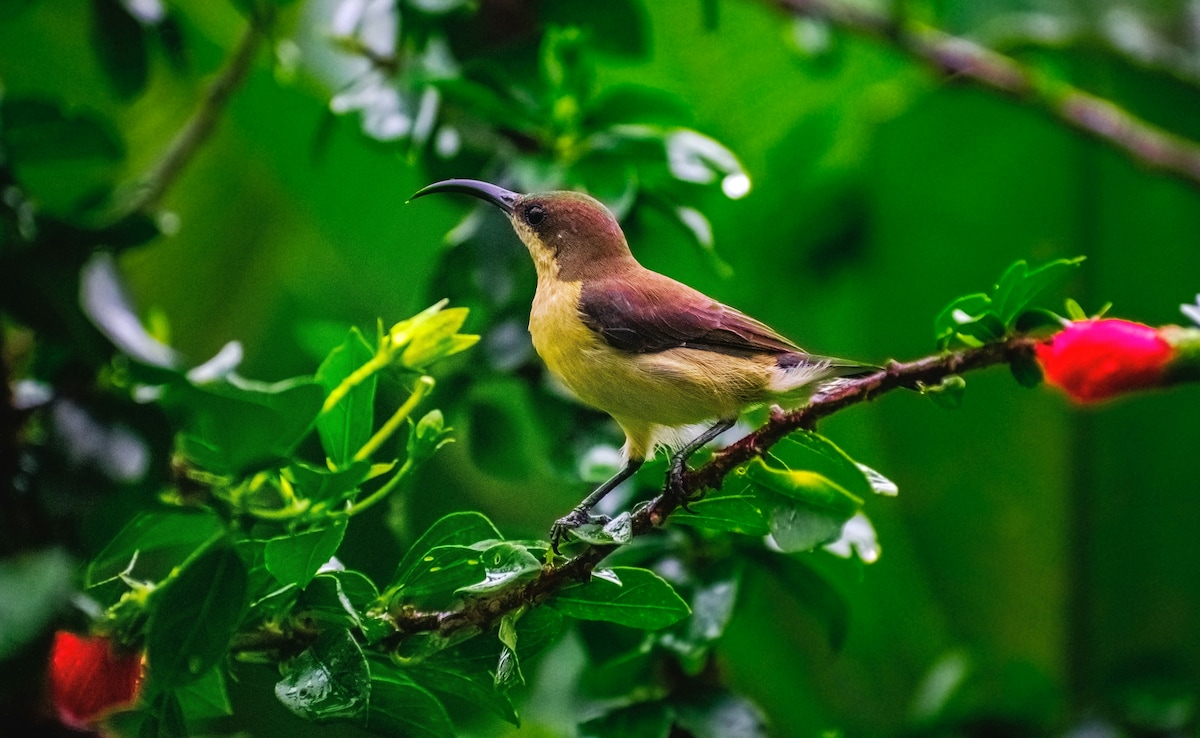 Kumarakom. Photo: Unsplash