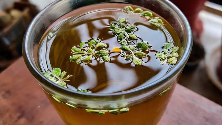सुबह खाली पेट अजवाइन का पानी पीने के क्या फायदे हैं? इन 5 लोगों को जरूर पीना चाहिए ये पानी