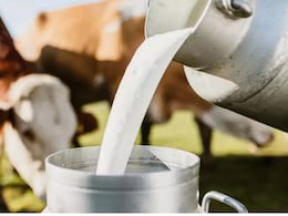 Gokul Milk prices increased : मदर डेअर, अमूलनंतर गोकुळचे दूध महागले, उद्यापासून दरवाढ लागू; पाहा नवी रेट लिस्ट
