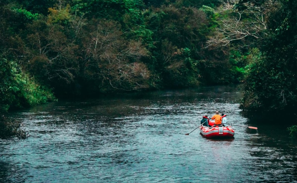 Latest and Breaking News on NDTV Latest and Breaking News on NDTV