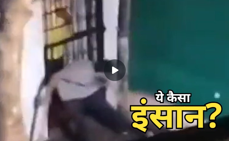 Animal Cruelty: पीट-पीटकर बेजुबान को मारा, फिर बोरे में भरकर जला दिया, वायरल हो रहा शॉकिंग वीडियो