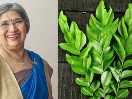 रोज सुबह खाली पेट चबा लें ये हरे पत्ते, Doctor Hansaji ने बताया बॉडी को एक साथ मिलेंगे 6 बड़े फायदे, Diabetes में हैं रामबाण रोज सुबह खाली पेट चबा लें ये हरे पत्ते, Doctor Hansaji ने बताया बॉडी को एक साथ मिलेंगे 6 बड़े फायदे, Diabetes में हैं रामबाण
