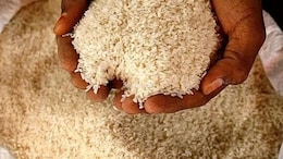 Nandurbar News: रेशनच्या तांदळाचा गुजरातमध्ये काळाबाजार! 53 लाखांच्या मुद्देमालासह 3 ट्रक जप्त
