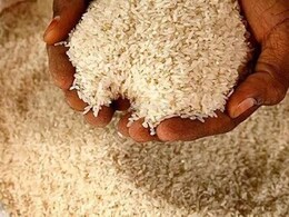 Nandurbar News: रेशनच्या तांदळाचा गुजरातमध्ये काळाबाजार! 53 लाखांच्या मुद्देमालासह 3 ट्रक जप्त