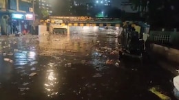 Fallen Trees, Flooded Underpasses: Heavy Rain Causes Chaos In Mumbai