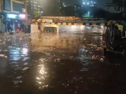 Fallen Trees, Flooded Underpasses: Heavy Rain Causes Chaos In Mumbai Fallen Trees, Flooded Underpasses: Heavy Rain Causes Chaos In Mumbai