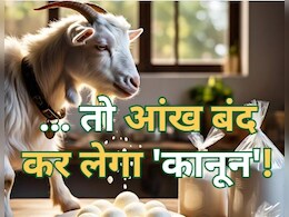 रसगुल्ला चुराया, नमक चुराया और बकरियां चुराई पर पुलिस 'मुस्कुराई' ! नए कानून का ये झोल आपको पता है? रसगुल्ला चुराया, नमक चुराया और बकरियां चुराई पर पुलिस 'मुस्कुराई' ! नए कानून का ये झोल आपको पता है?