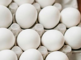 The Ultimate Dos & Don'ts Of Consuming Eggs Daily The Ultimate Dos & Don'ts Of Consuming Eggs Daily