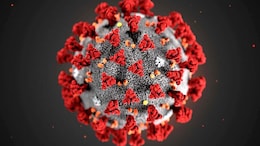 Covid-19 In India: LF.7 and NB.1.8.1, New Covid Variants Detected; Do You Need A Booster Dose?