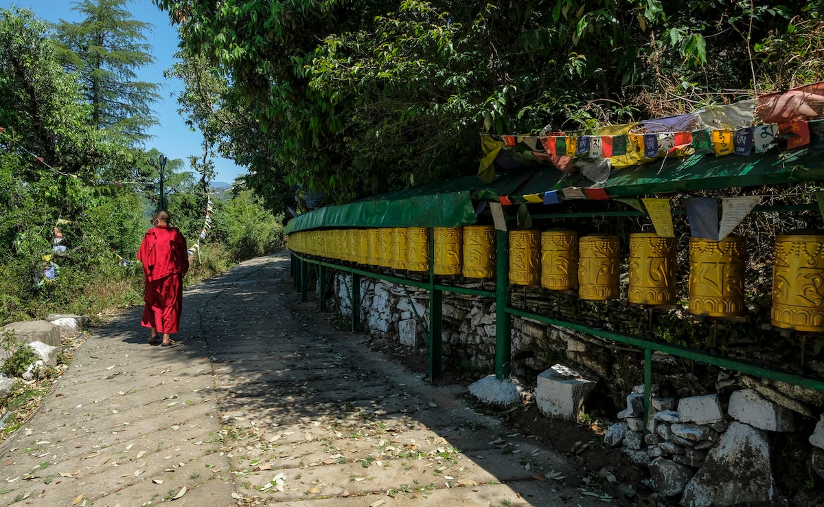 Latest and Breaking News on NDTV Latest and Breaking News on NDTV