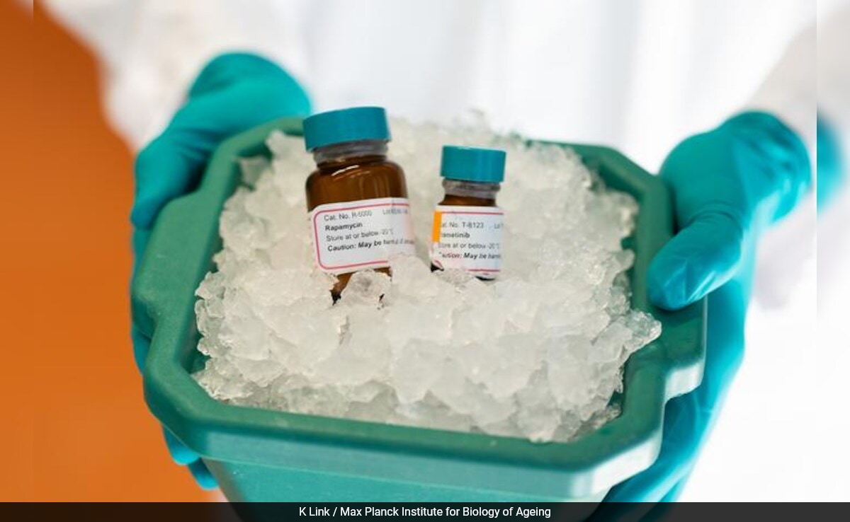 Бързо четене Резюме е генериран от AI прегледано Newsroom Проучване