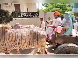 Rajasthan: बहन का मायरा भरने बैलगाड़ी पर सवार होकर पहुंचा भाई, देखने के लिए शहर की गलियों में उमड़ी भीड़