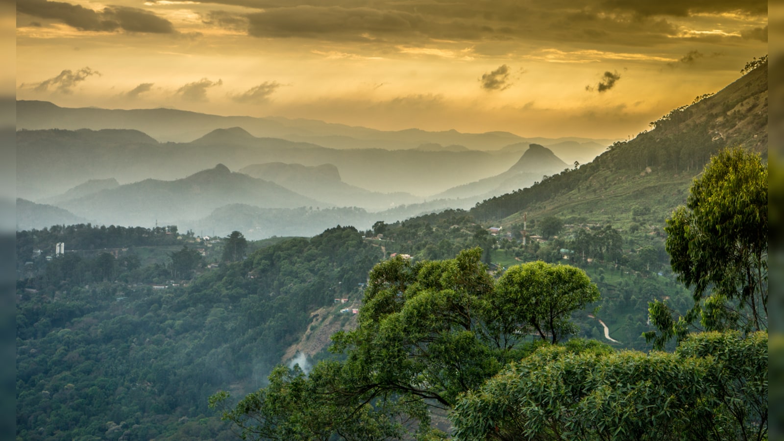 Western Ghats In Three States To Be Declared Eco-Sensitive Areas: Sources