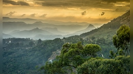 Western Ghats In Three States To Be Declared Eco-Sensitive Areas: Sources