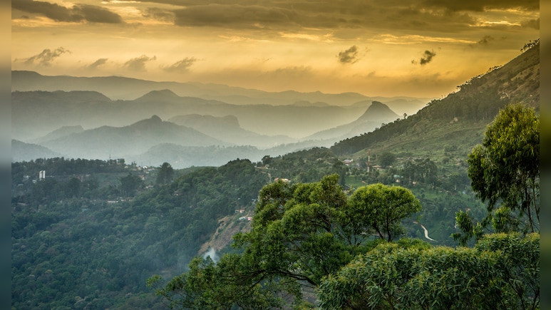 Western Ghats In Three States To Be Declared Eco-Sensitive Areas: Sources