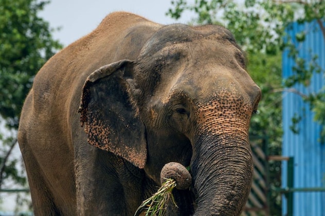 एक दूसरे के साथ मजे हसे है रहते एक दूसरे के साथ मजे हसे है रहते