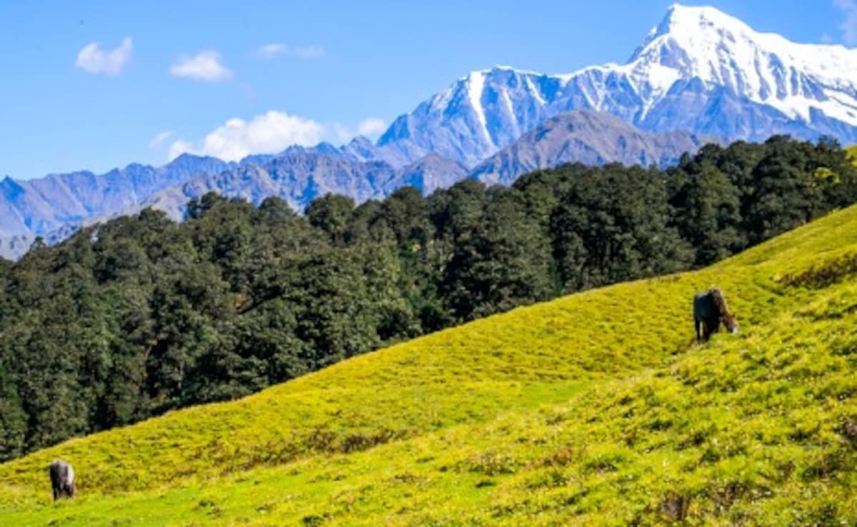 Latest and Breaking News on NDTV