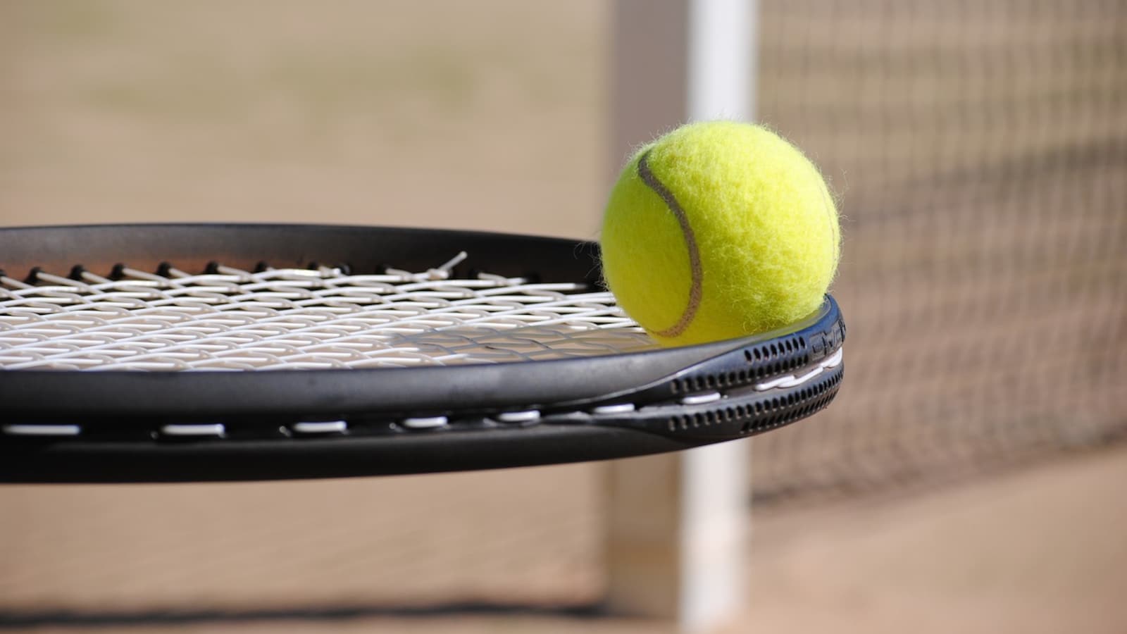 Double Role: Pakistan Tennis Federation President Aisam Ul Haq Qureshi To Play Doubles At Asian Games