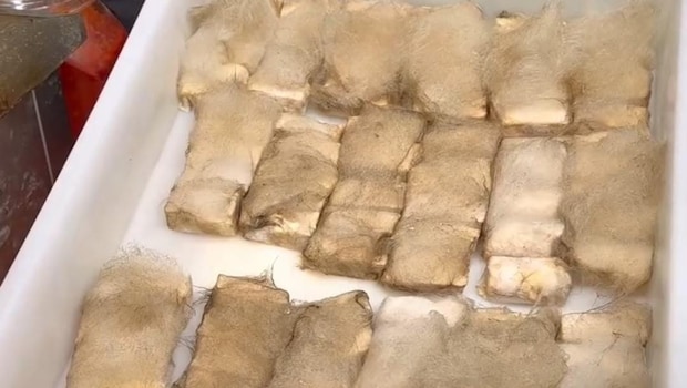 This "Hairy Tofu" Has White Fuzz Growing On It! Here's Why Foodies Are Fascinated By It