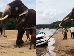 नदी में फंस गई कार, हाथी ने सूंड से खींचकर निकाला बाहर, वायरल Video देख लोग गजराज की कर रहे तारीफ नदी में फंस गई कार, हाथी ने सूंड से खींचकर निकाला बाहर, वायरल Video देख लोग गजराज की कर रहे तारीफ