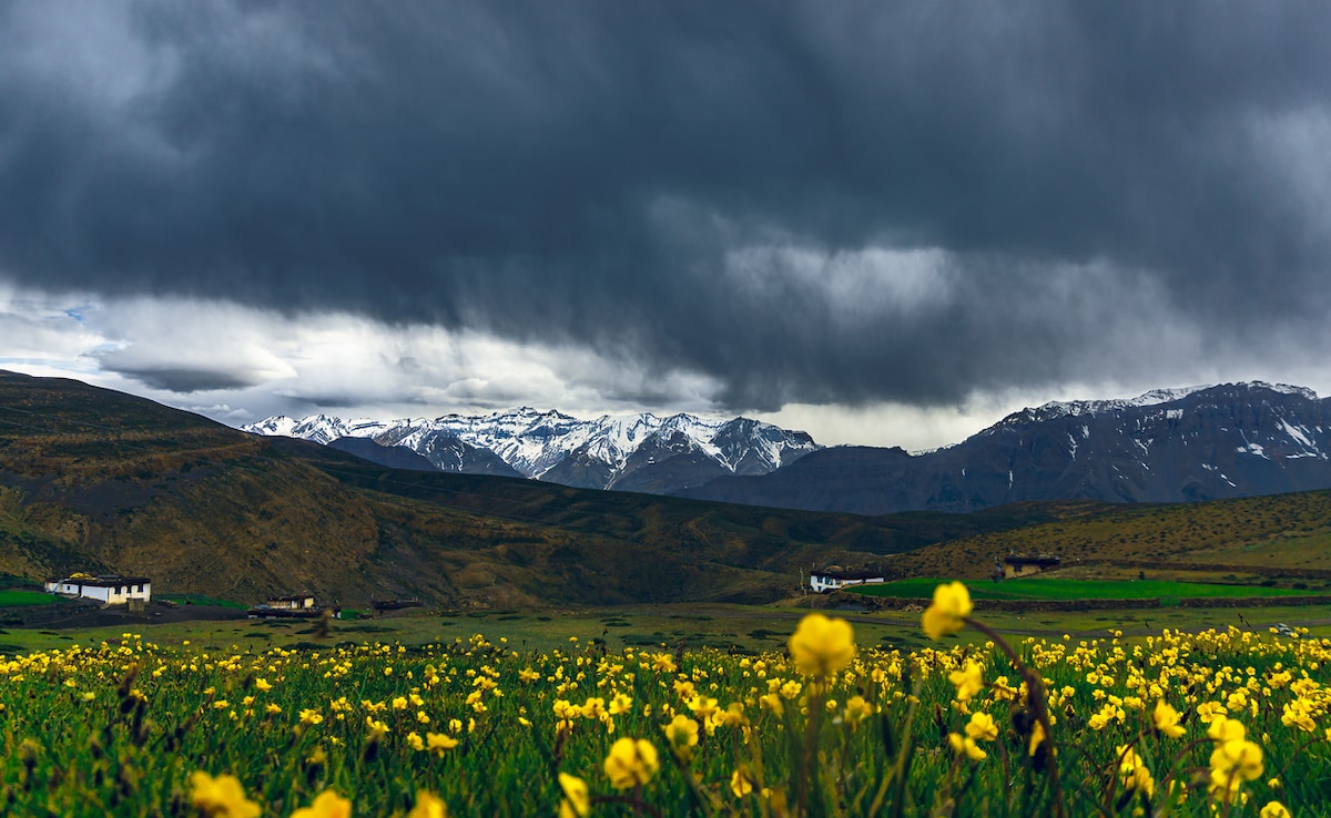 Photo: iStock Photo: iStock