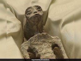 In Startling Discovery, Experts Claim Peruvian 'Alien Mummies' Were Murdered In Startling Discovery, Experts Claim Peruvian 'Alien Mummies' Were Murdered