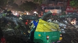 Auto Driver, 45, Dies After Tree Falls On Vehicle Amid Rain In Bengaluru