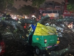 Auto Driver, 45, Dies After Tree Falls On Vehicle Amid Rain In Bengaluru Auto Driver, 45, Dies After Tree Falls On Vehicle Amid Rain In Bengaluru