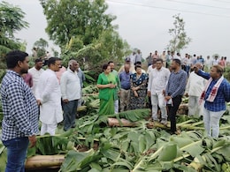 Banana Cultivation : तेज आंधी और बारिश से केला की फसल चौपट, सर्वे शुरू; अब सरकारी मदद पर टिकी नजरें Banana Cultivation : तेज आंधी और बारिश से केला की फसल चौपट, सर्वे शुरू; अब सरकारी मदद पर टिकी नजरें
