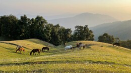 Dehradun Travel Guide: The Ultimate Chill Destination In The Foothills Of The Himalayas