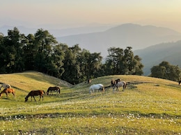 Dehradun Travel Guide: The Ultimate Chill Destination In The Foothills Of The Himalayas Dehradun Travel Guide: The Ultimate Chill Destination In The Foothills Of The Himalayas