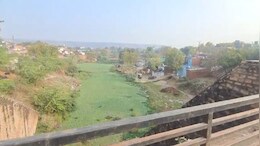 MP News: स्वर्ण रेखा नदी प्रोजेक्ट पर चल रहे कामों का होगा सोशल ऑडिट, हाईकोर्ट ने दिया निर्देश