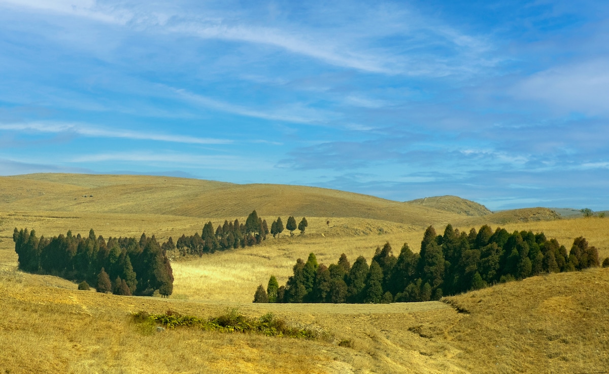 Photo: iStock Photo: iStock