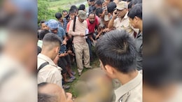 Armed Mob Kills Royal Bengal Tiger In Assam, Skin, Teeth Removed