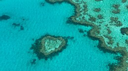 What Makes The Great Barrier Reef Stand Out For Every Traveller