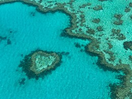 What Makes The Great Barrier Reef Stand Out For Every Traveller What Makes The Great Barrier Reef Stand Out For Every Traveller