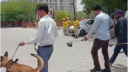 Rajasthan: एक दिन में राजस्थान के 4 जिलों में बम ब्लास्ट की धमकी, डॉग स्क्वॉड की मदद से सर्च जारी
