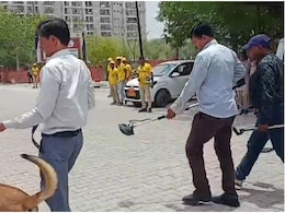 Rajasthan: एक दिन में राजस्थान के 4 जिलों में बम ब्लास्ट की धमकी, डॉग स्क्वॉड की मदद से सर्च जारी Rajasthan: एक दिन में राजस्थान के 4 जिलों में बम ब्लास्ट की धमकी, डॉग स्क्वॉड की मदद से सर्च जारी