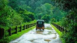 India To Receive Above Normal Rainfall This Monsoon