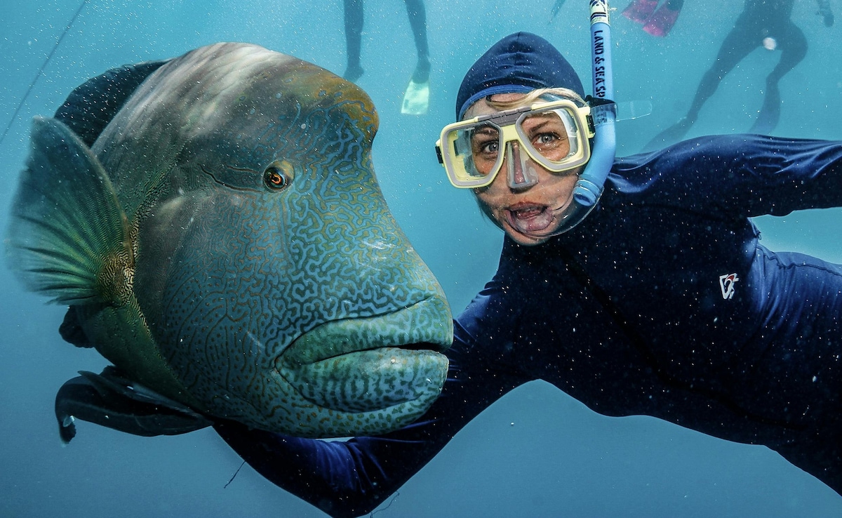 Latest and Breaking News on NDTV Latest and Breaking News on NDTV