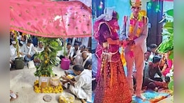 Karauli News:अग्नि नहीं...बरगद के पौधे को साक्षी मानकर दूल्हा-दुल्हन ने लिए 7 फेरे, राजस्थान में मीणा समाज की अनोखी शादी