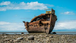 8-Year-Old's Metal Detector Unearths 200-Year-Old Shipwreck In Ontario