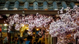 6 Quirky, Unique Experiences You Can Only Have In South Korea