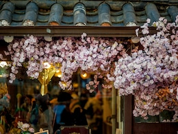 6 Quirky, Unique Experiences You Can Only Have In South Korea