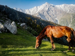 5 Offbeat Hill Stations In North India Perfect For Beating The Summer Heat In 2025 5 Offbeat Hill Stations In North India Perfect For Beating The Summer Heat In 2025