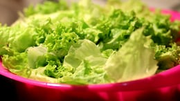 Cyclospora Outbreak Linked To Iceberg Lettuce Spreads To 15 States: CDC