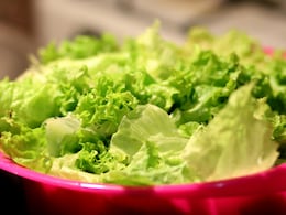 Parasite Contamination Fears Persist As FDA Probes Lettuce Supplier